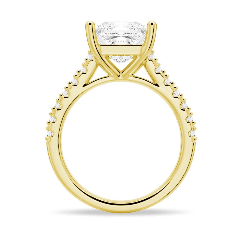 Princess Cut Moissanite Engagement Ring with 4 - Prong Setting and Pave Band - Novelle Vow