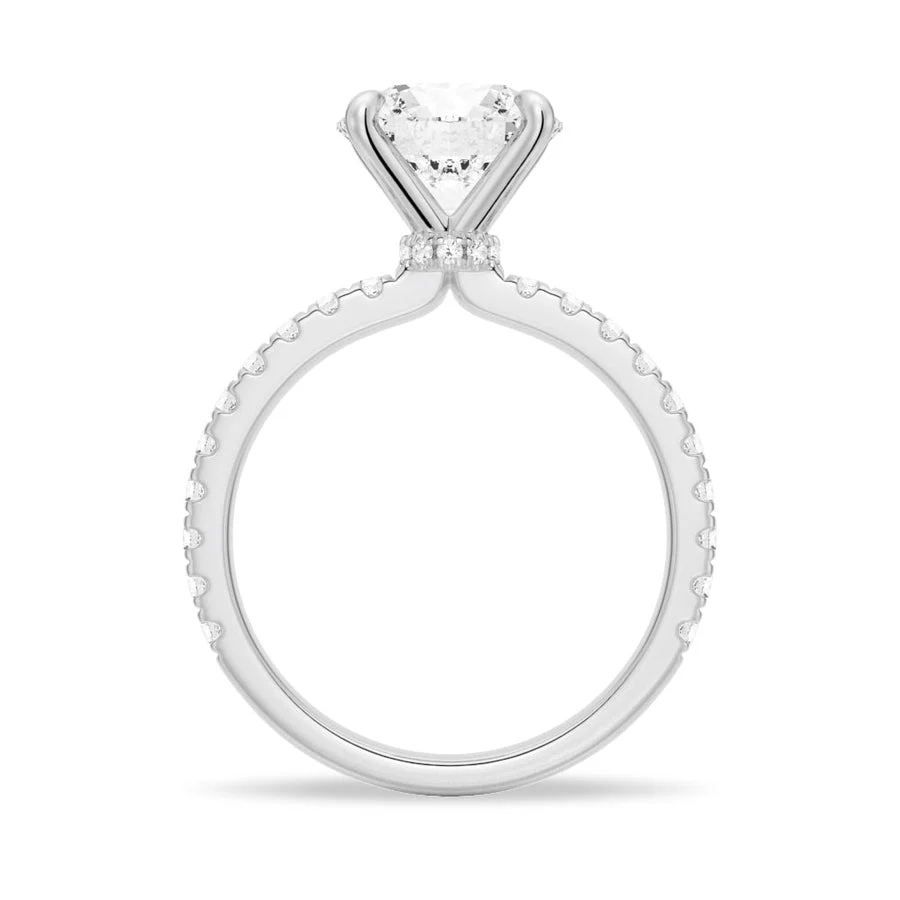 Direct circular profile view of white gold round moissanite hidden halo ring